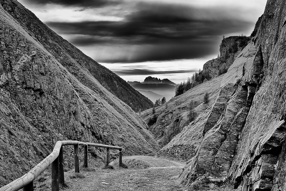 Platz 12 Franz Müller